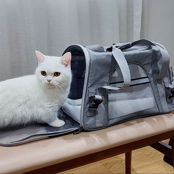 ペット キャリー 猫用多機能ペット旅行バッグ