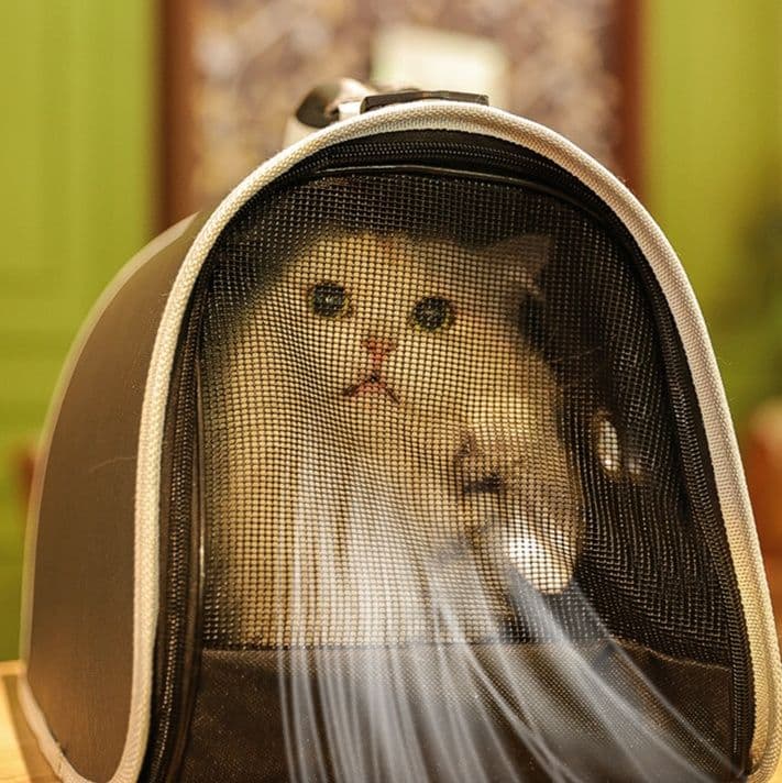 ペット キャリー 猫用宇宙飛行士風ペット窓付きバッグ