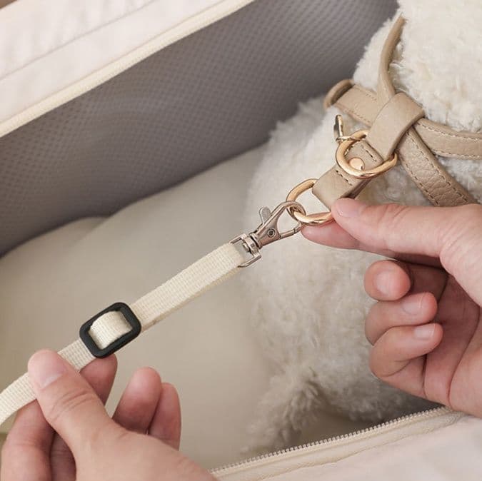 ペット キャリー 犬用うさぎモチーフ ドライブ用ペットバッグ