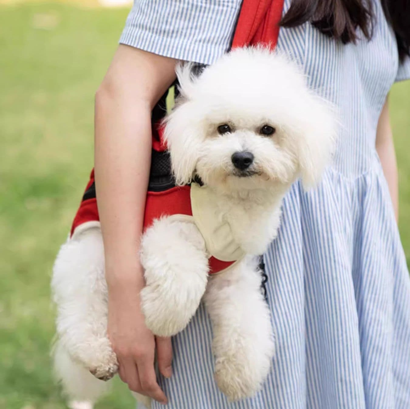 ペット キャリー犬用 抱っこお出かけペットキャリー