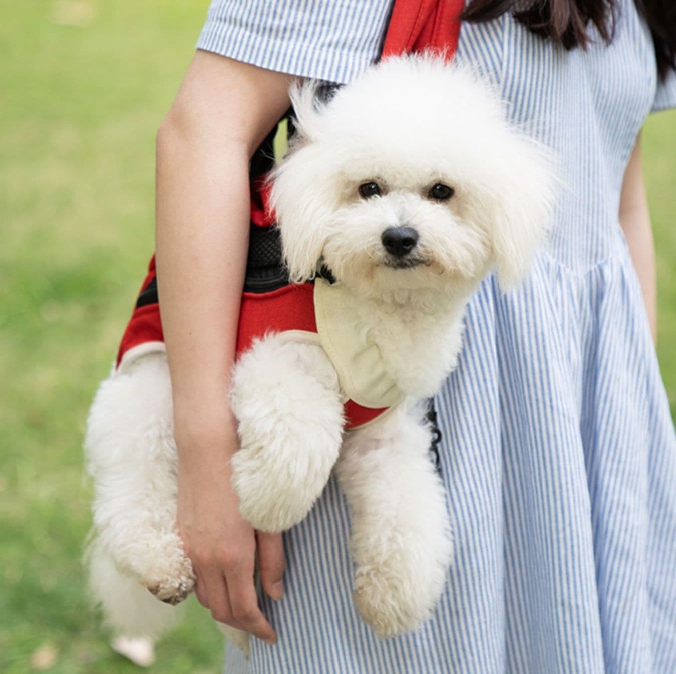 ペット キャリー 犬用お散歩らくらく抱っこバッグ