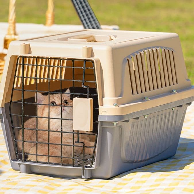 ペット キャリー 四面通気型安心運搬犬用移動箱