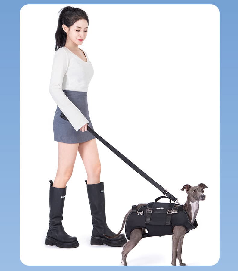 ペット キャリーバッグ 犬用 ハーネス一体型サポートキャリー