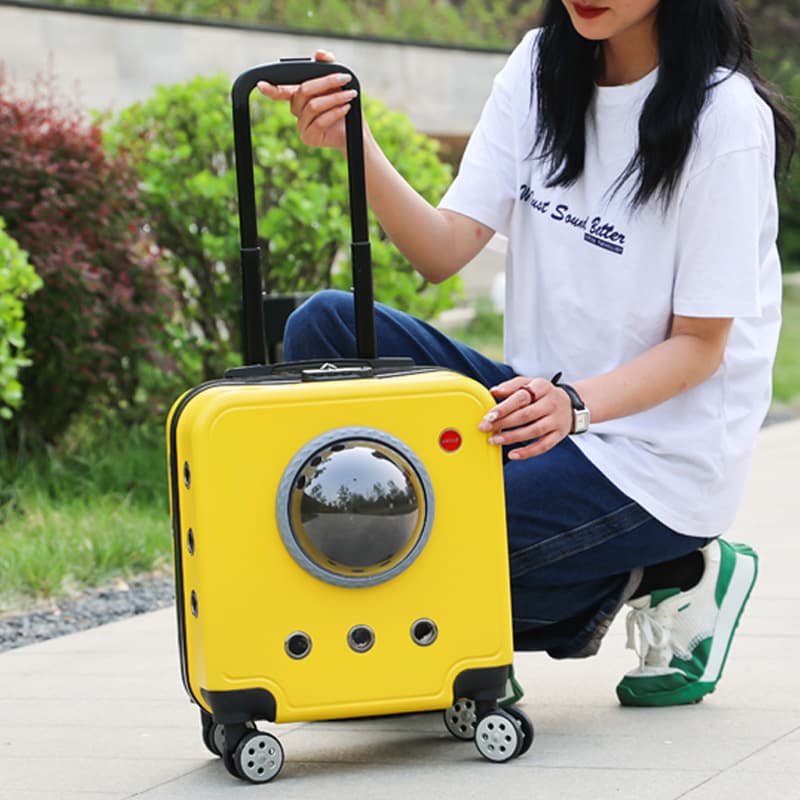 ペット キャリーバッグ 猫用宇宙船スタイル ペット キャリー