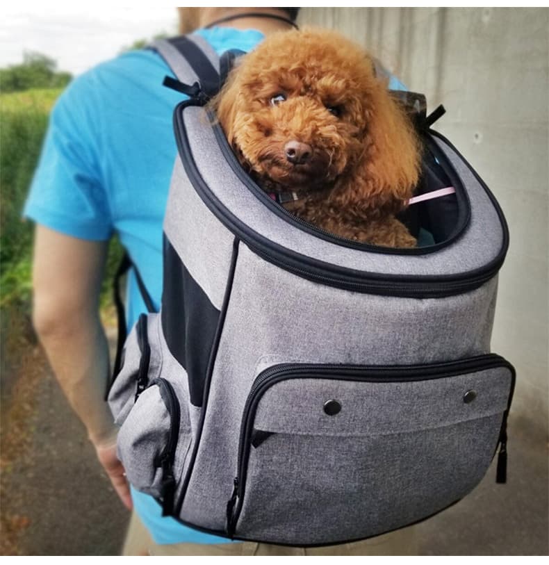 ペット キャリーバッグ 犬用やさしさ包む ふんわりペットキャリー