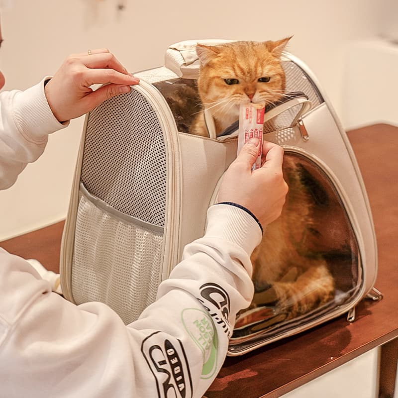 ペット キャリーバッグ 猫用メッシュ窓付き快適お散歩キャリーバッグ