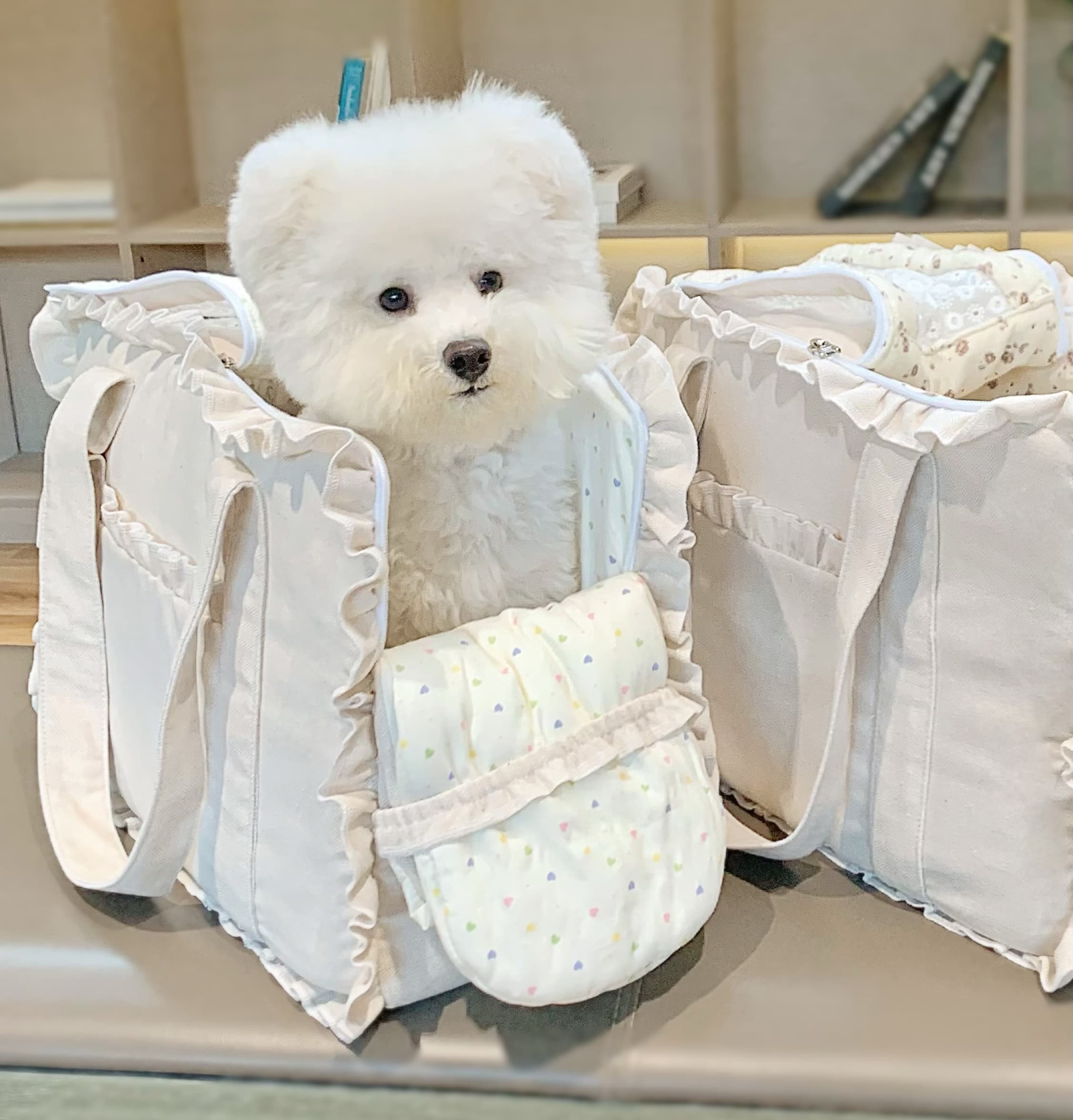 ペット キャリーバッグ 犬用ふりふりレース付き お姫様キャリーバッグ