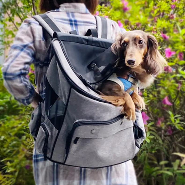 ペット キャリーバッグ 犬用やさしさ包む ふんわりペットキャリー