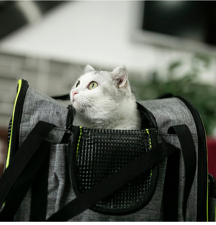 ペット キャリーバッグ 猫用 通気性抜群 ペット お出かけバッグ