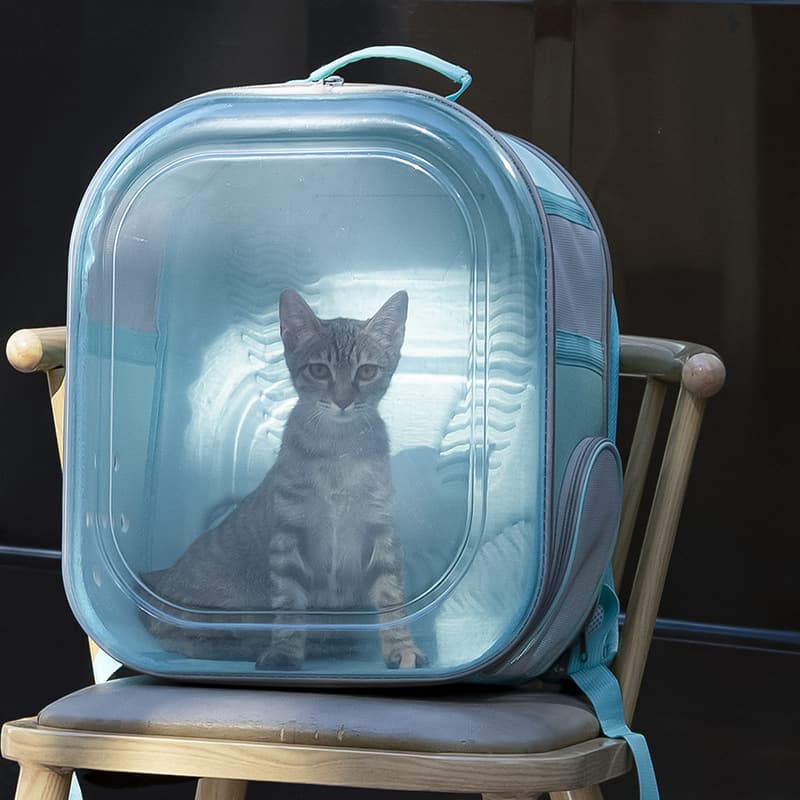 ペット キャリーバッグ 猫用サイドオープン透明ペットキャリー