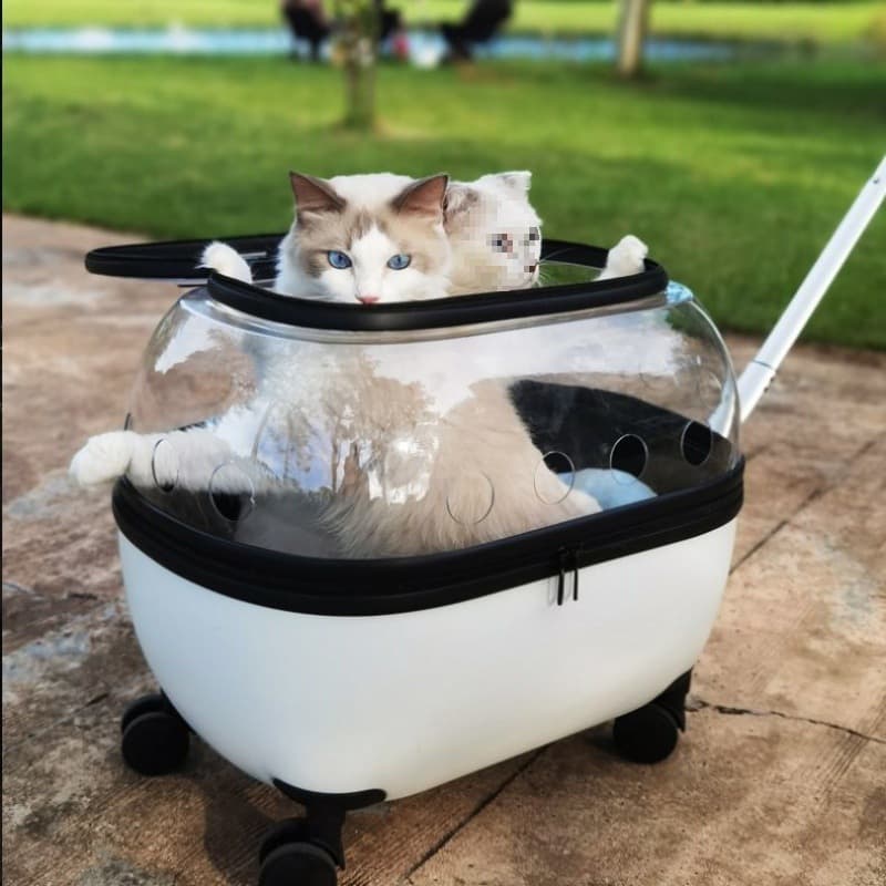 ペット キャリー 猫用宇宙船風透明ドーム キャリー