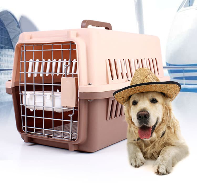 ペット キャリー 犬 旅行航空箱ハードケース型ペットキャリー