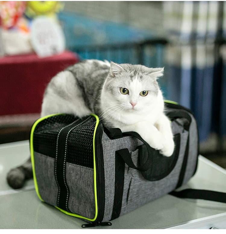 ペット キャリーバッグ 猫用 通気性抜群 ペット お出かけバッグ