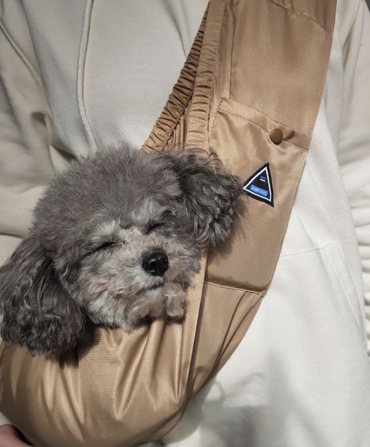 ペット キャリーバッグ 犬用お散歩らくらくスリングバッグ