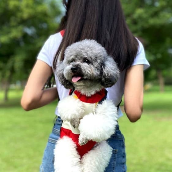 ペット キャリーバッグ 犬用 前からも抱っこできるリュック型キャリーバッグ