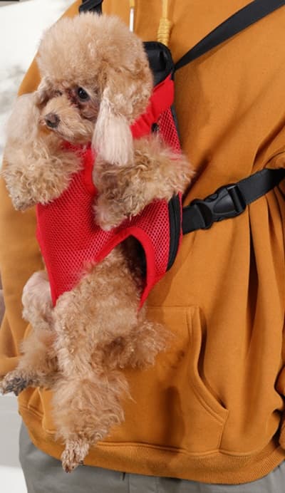 ペット キャリーバッグ 犬用 メッシュ素材 抱っこバッグ