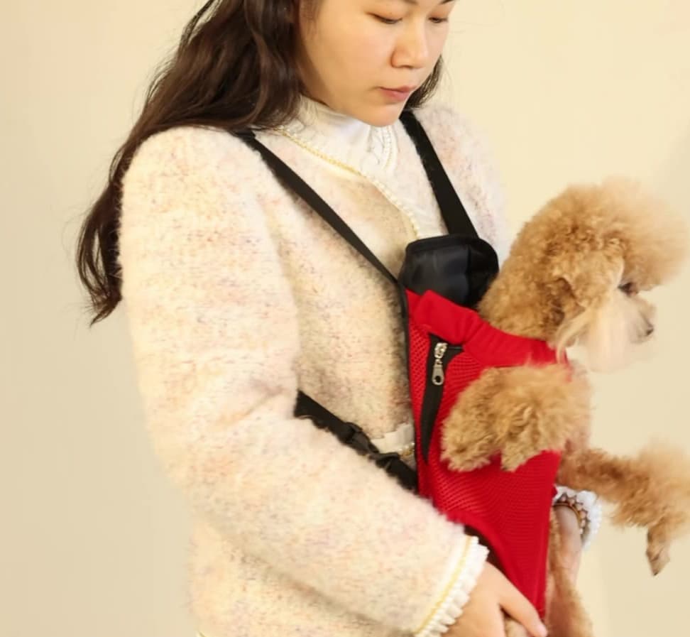 ペット キャリーバッグ 犬用 メッシュ素材 抱っこバッグ