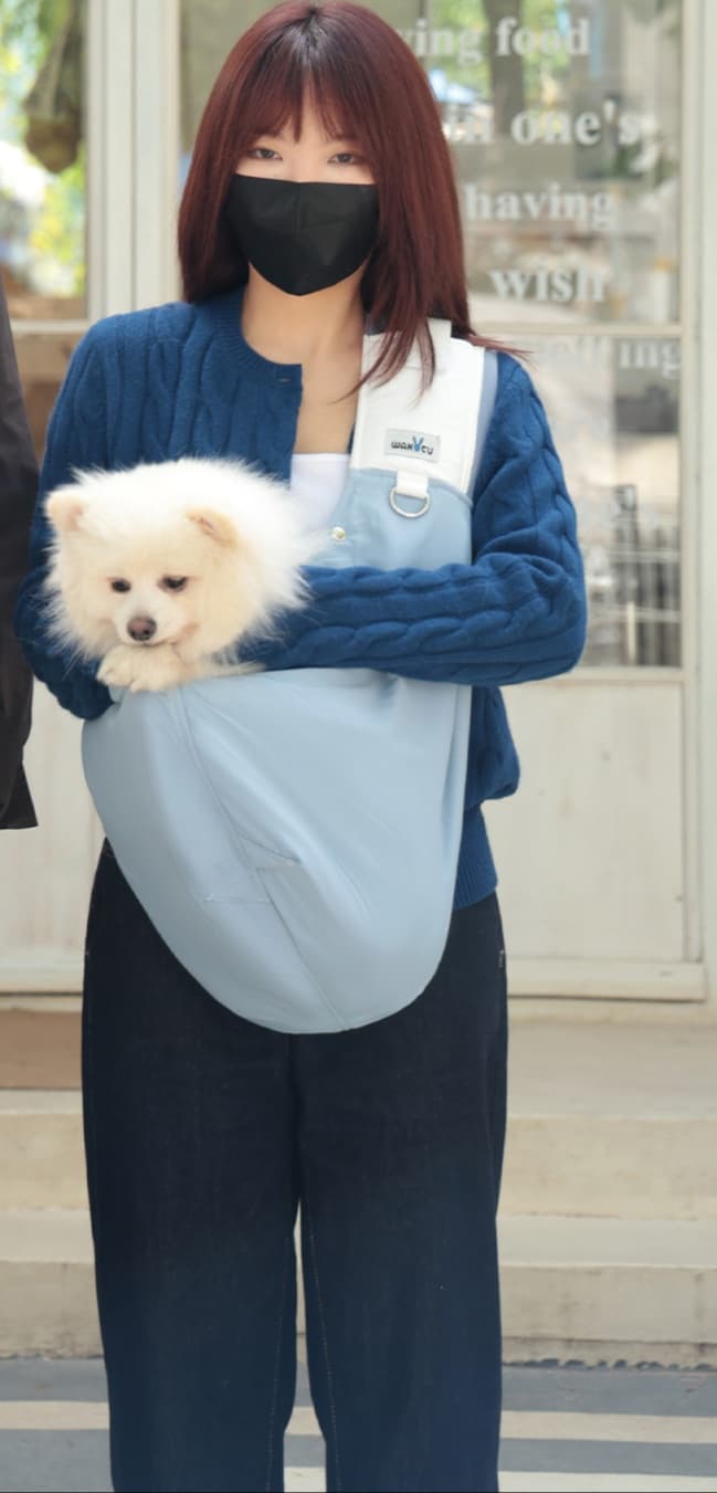 ペット キャリーバッグ 犬用スリング型 やさしいお散歩バッグ