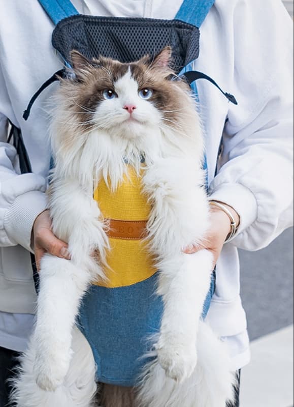 ペット キャリーバッグ 2way前掛けキャリーバッグ 猫のお散歩お助けバッグ