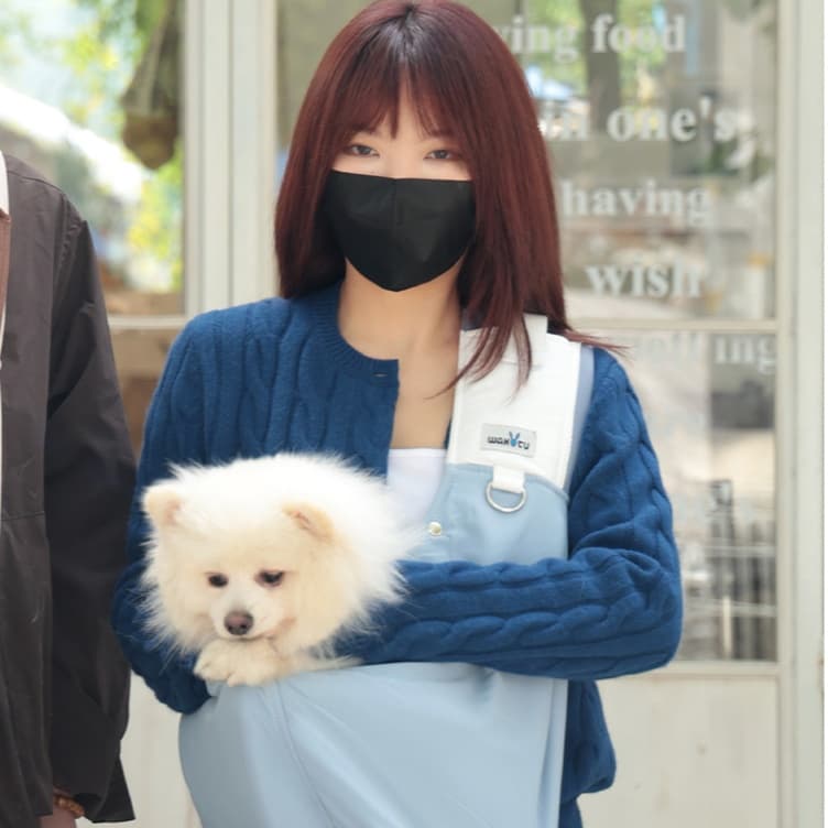 ペット キャリーバッグ 犬用斜めがけペットキャリーバッグ