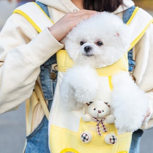 ペット キャリーバッグ 犬用ペット散歩用工学設計背負いキャリー