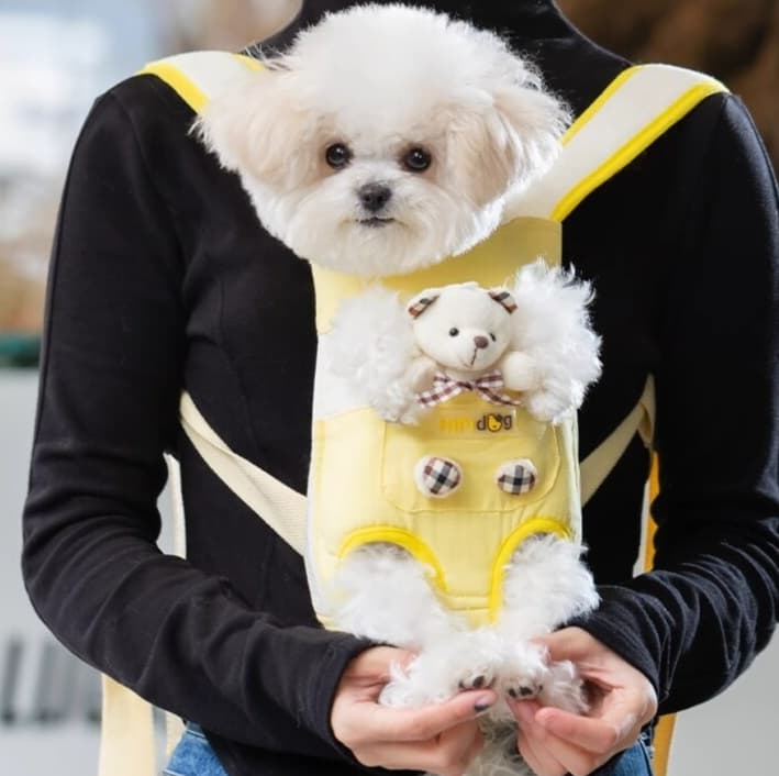 ペット キャリーバッグ 犬用ペット散歩用工学設計背負いキャリー