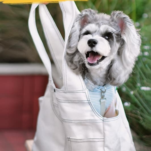 ペット キャリーバッグ 犬用肩掛けやすい軽量ドッグスリング
