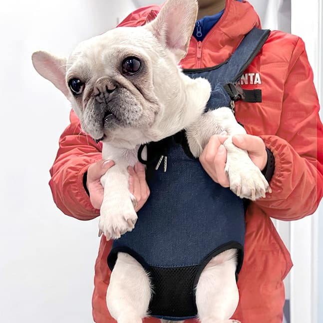 ペット キャリーバッグ 犬用両手フリー ペット抱っこバッグ