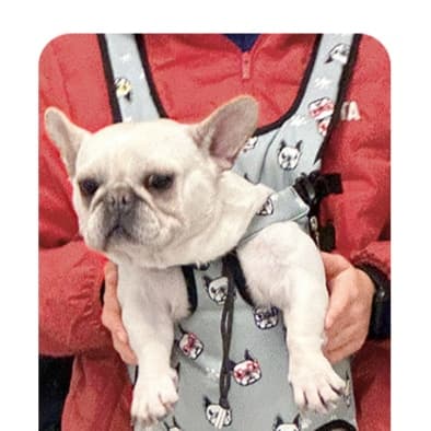 ペット キャリーバッグ 犬用両手フリー ペット抱っこバッグ
