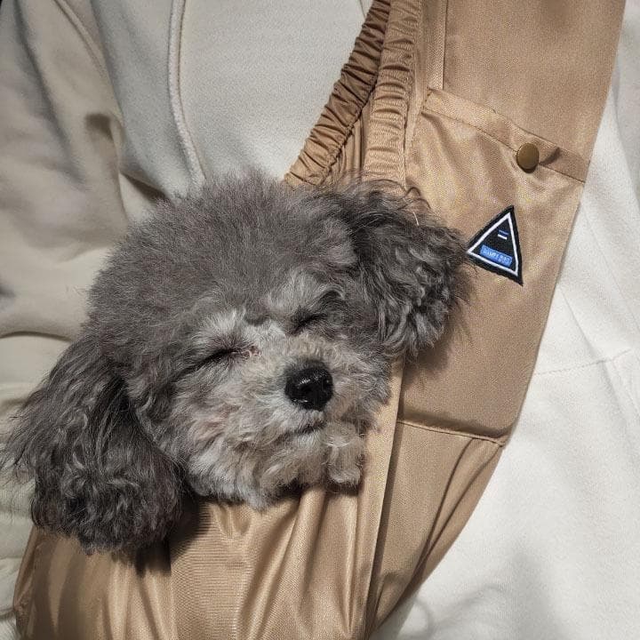 ペット キャリーバッグ 犬用ふわもこスリング ペットキャリー