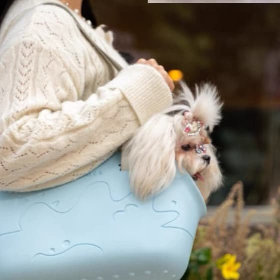 ペット キャリーバッグ 小型犬用 やわらか素材キャリーバッグ