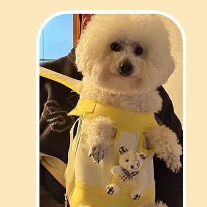 ペット キャリー 犬用おでかけ便利フロントバッグ