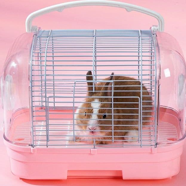 ペット キャリー全景透明うさぎ用キャリーケース