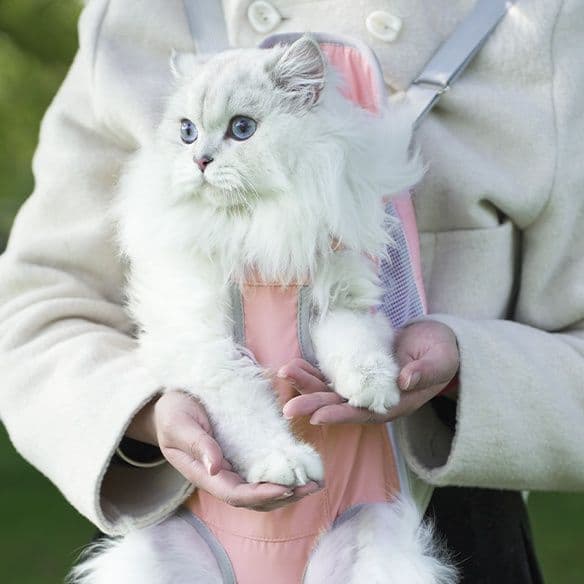 ペット キャリー猫用 両手解放メッシュ抱っこキャリー