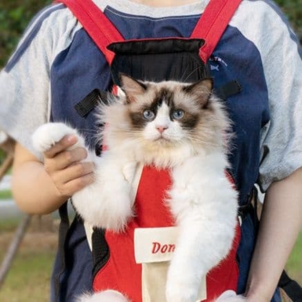 ペット キャリー 前抱き型猫用お出かけ抱っこ紐キャリー