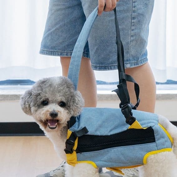 ペット キャリー 前抱き型猫用お出かけ抱っこ紐キャリー