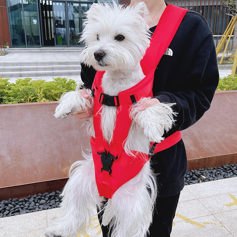 ペット キャリーバッグ 犬用前からも抱っこも快適ペットキャリーバッグ