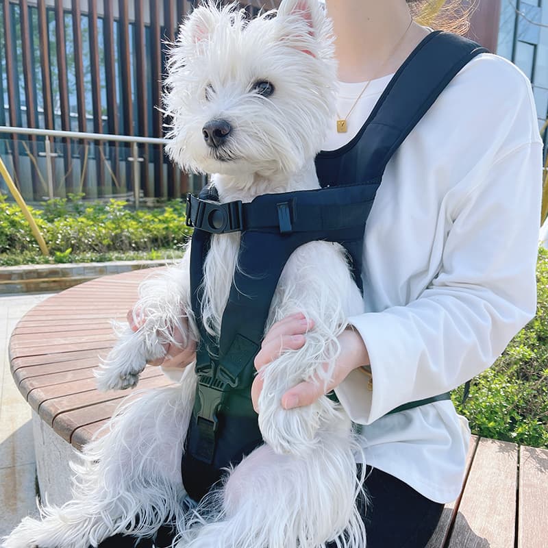 ペット キャリーバッグ 犬用前からも抱っこも快適ペットキャリーバッグ