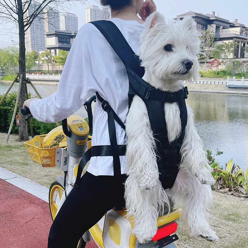 ペット キャリーバッグ 犬用前からも抱っこも快適ペットキャリーバッグ