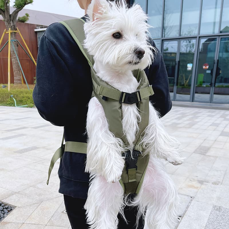 ペット キャリーバッグ 犬用前からも抱っこも快適ペットキャリーバッグ
