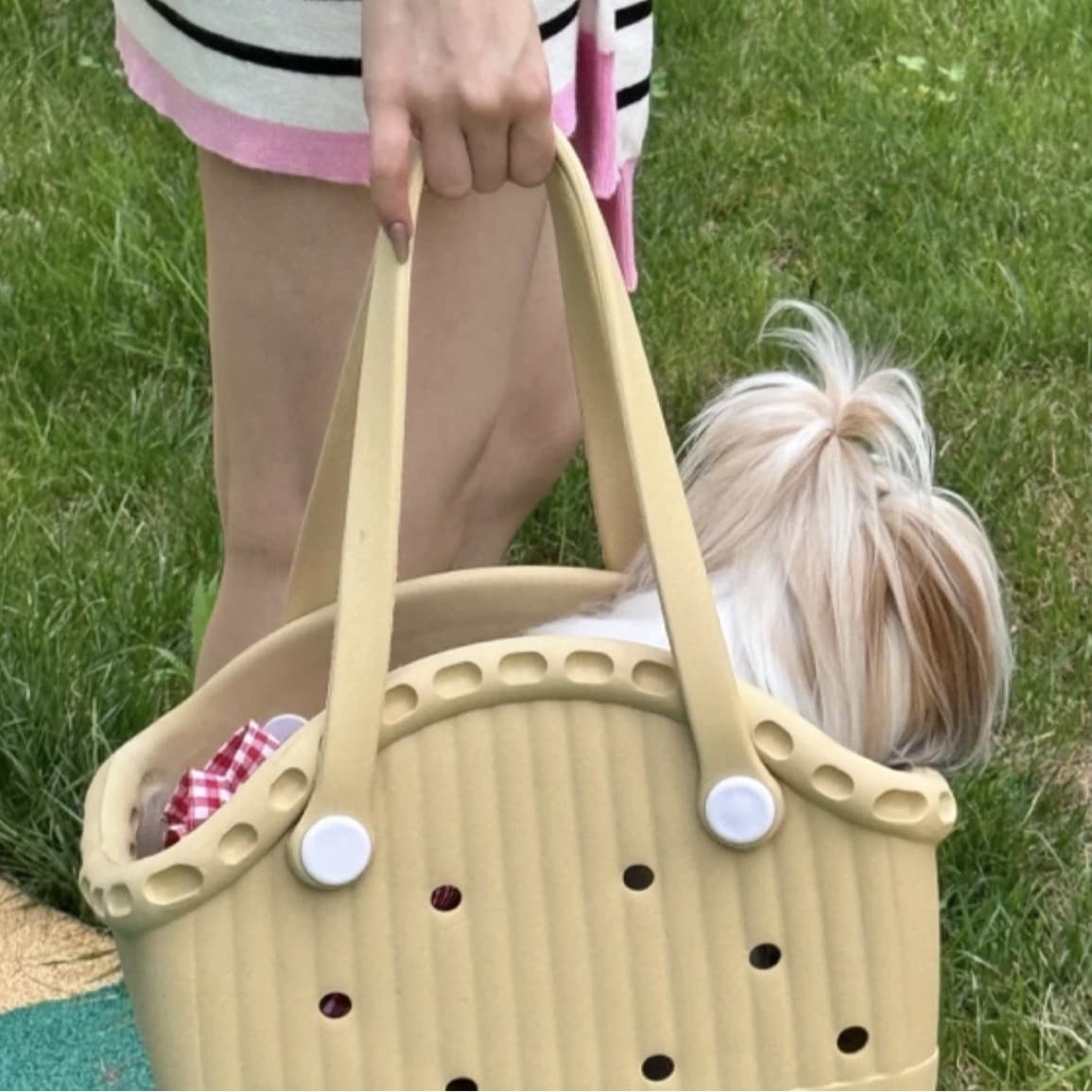 ペット キャリーバッグ 犬用シンプル透かし彫り ペットキャリー
